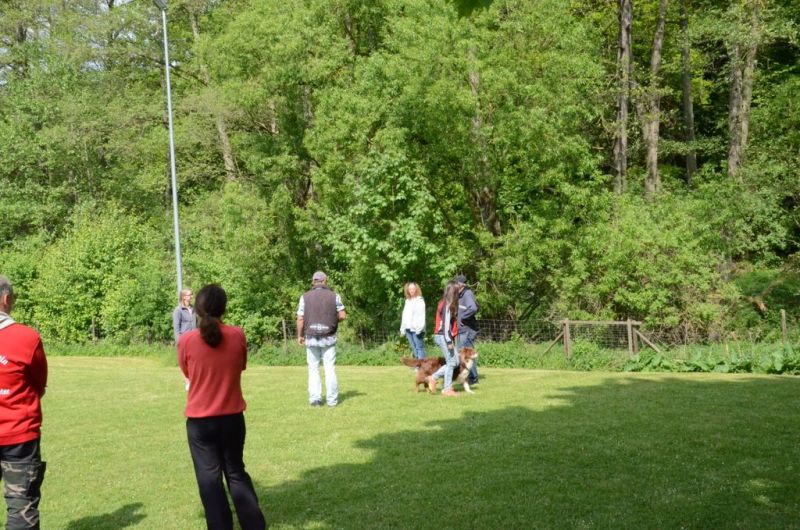 BH Prüfung Mai 2015