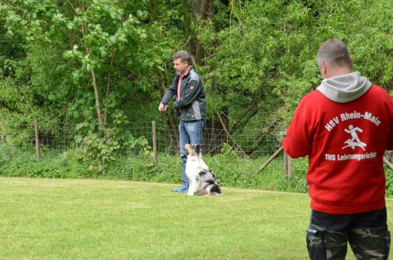 BH Prüfung Mai 2015