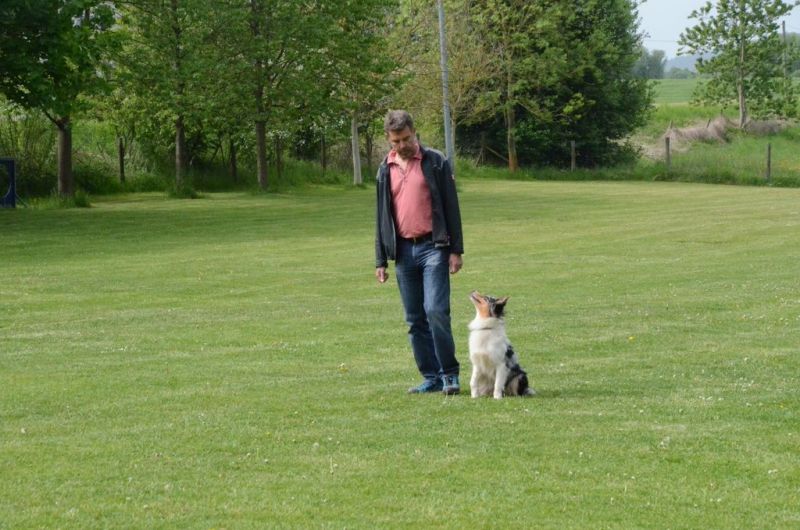 BH Prüfung Mai 2015