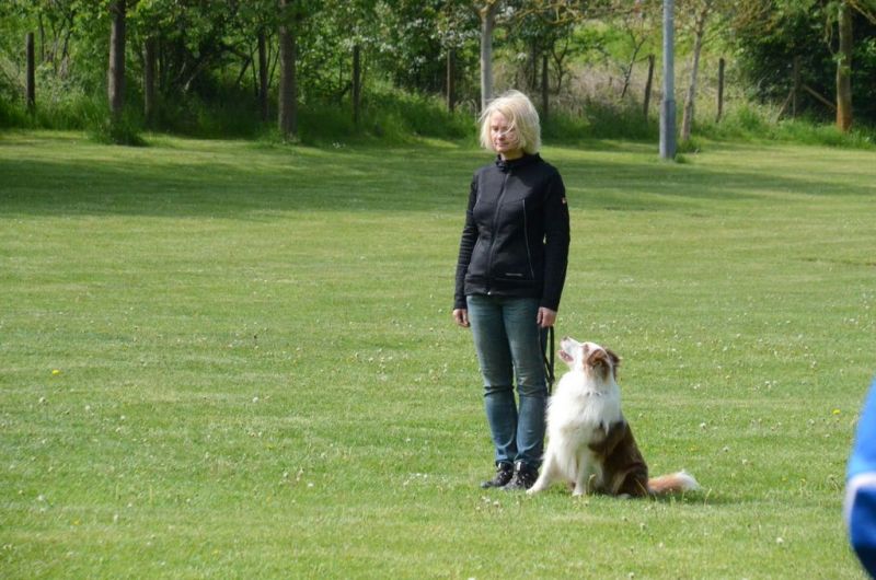 BH Prüfung Mai 2015