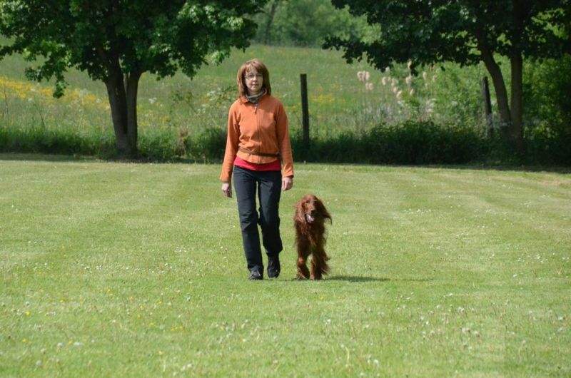 BH Prüfung Mai 2015
