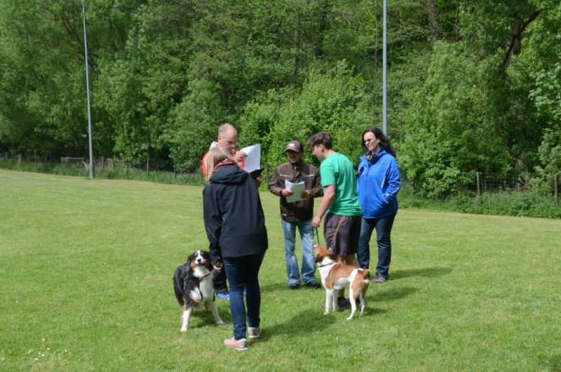 BH Prüfung Mai 2015