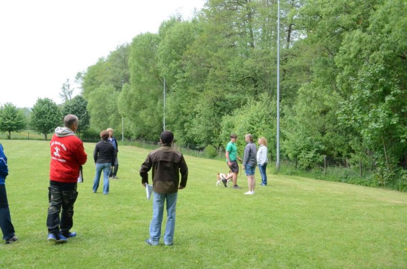 BH Prüfung Mai 2015