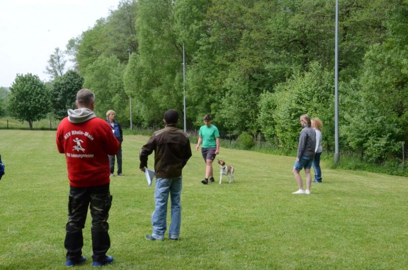 BH Prüfung Mai 2015