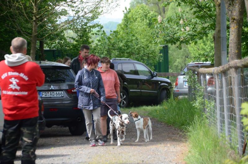 BH Prüfung Mai 2015