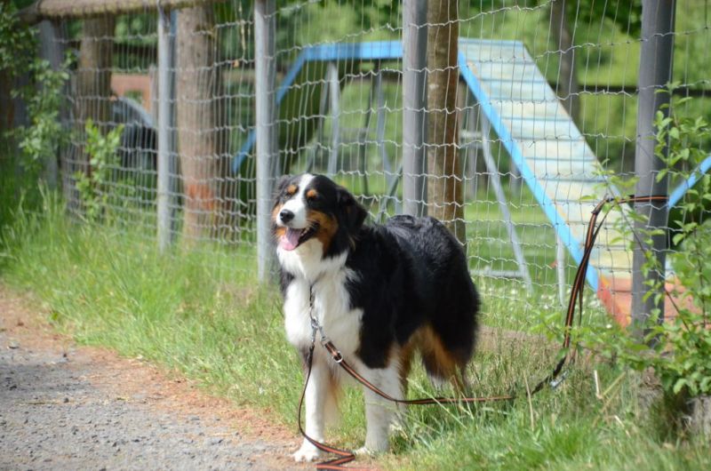 BH Prüfung Mai 2015