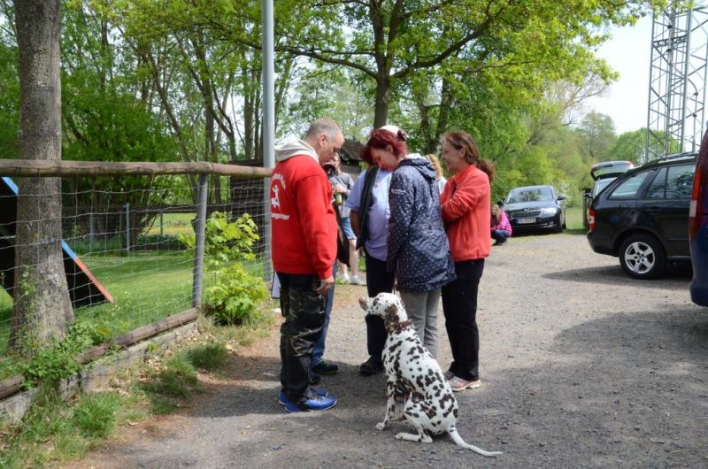 BH Prüfung Mai 2015
