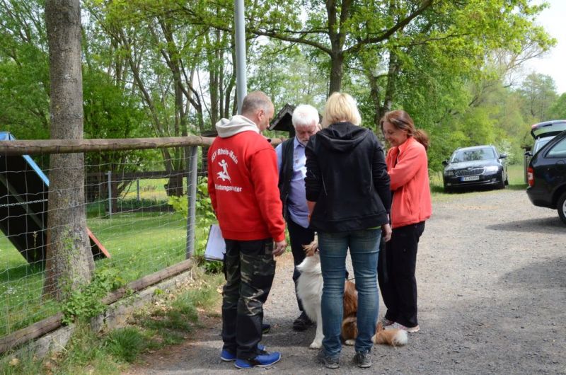 BH Prüfung Mai 2015