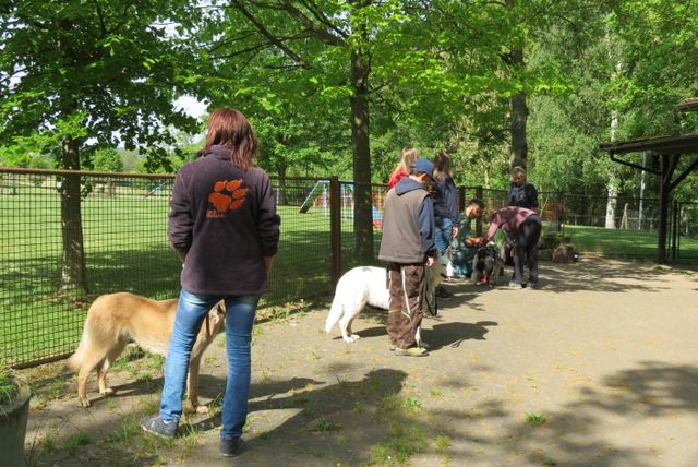 BH-Prüfung 2016