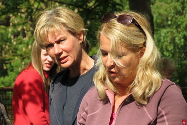 BH-Prüfung 2016