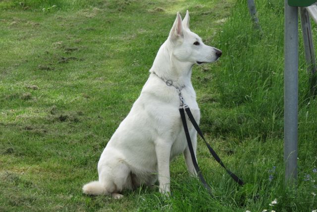 BH-Prüfung 2016