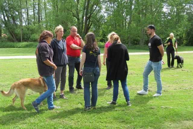 BH-Prüfung 2016