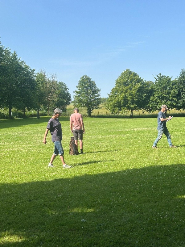 BH-Prüfung Juni