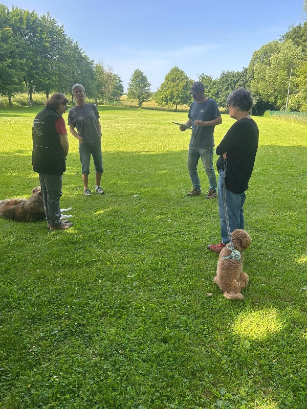 BH-Prüfung Juni