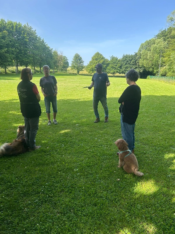 BH-Prüfung Juni