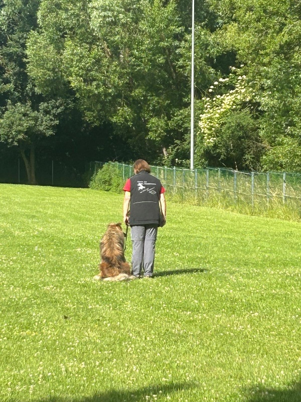 BH-Prüfung Juni