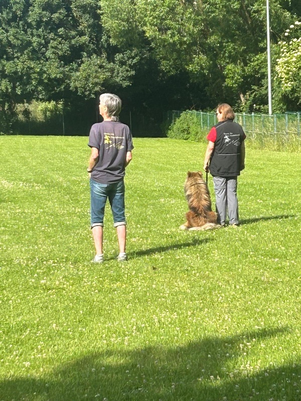 BH-Prüfung Juni