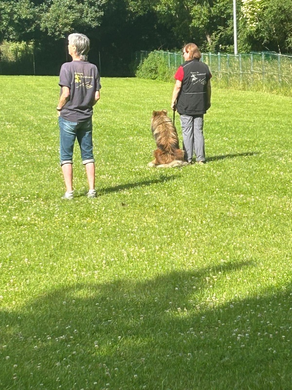 BH-Prüfung Juni