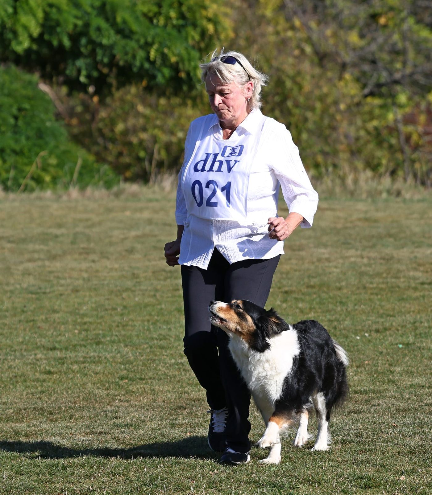 dhv DM Obedience