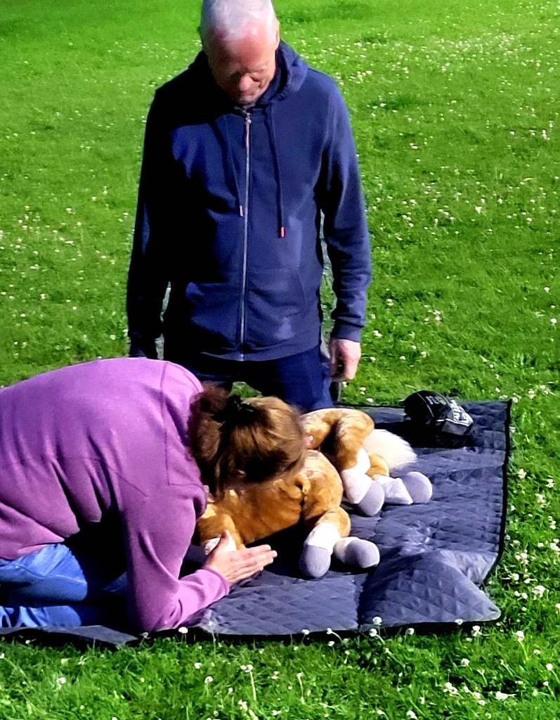 Erste Hilfe Kurs