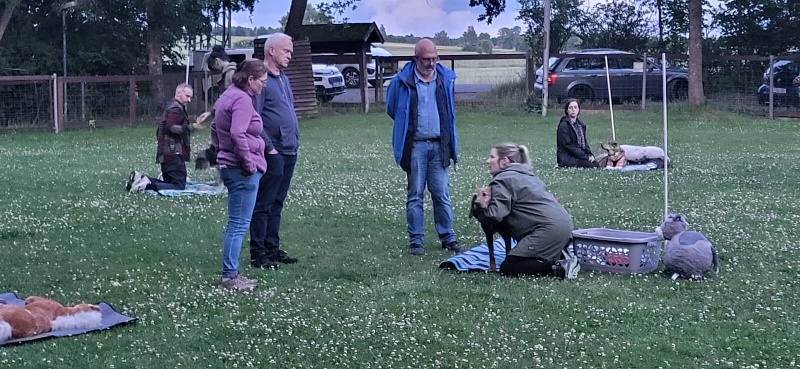 Erste Hilfe Kurs