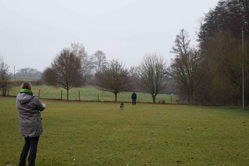 BH-Prüfung Herbst 2016