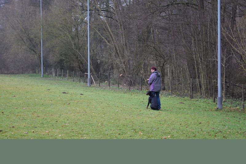 BH-Prüfung Herbst 2016