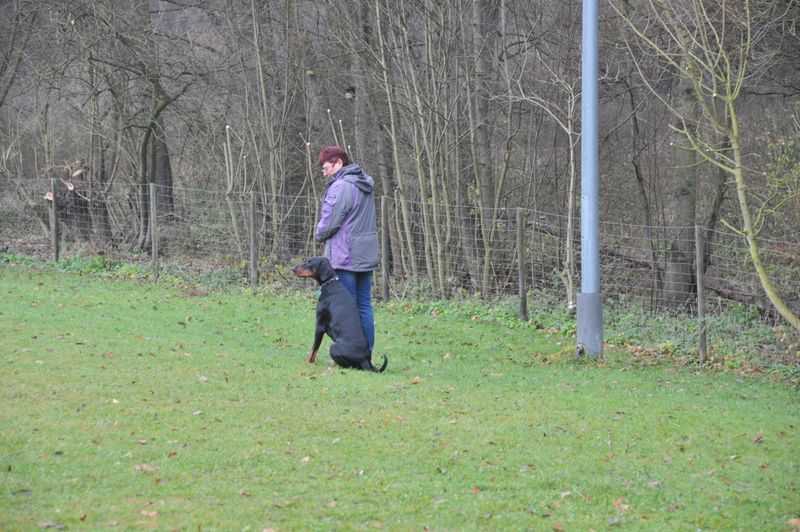 BH-Prüfung Herbst 2016