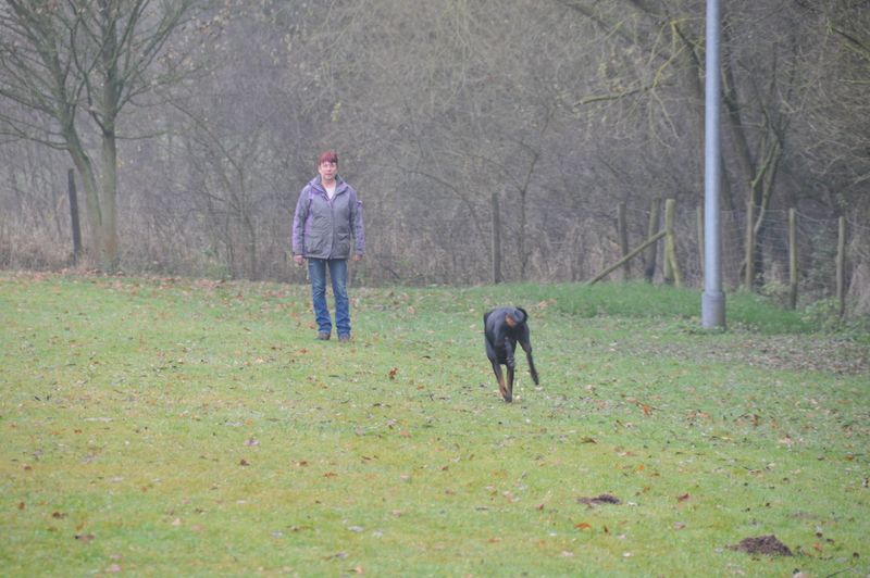 BH-Prüfung Herbst 2016