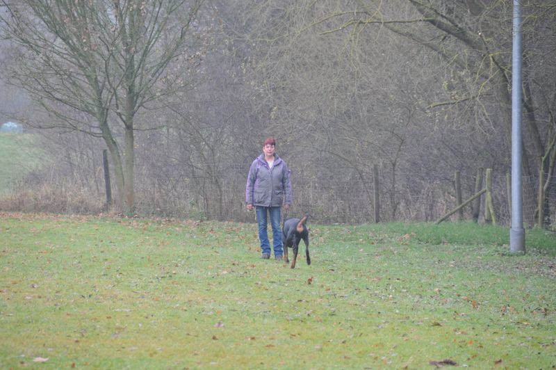 BH-Prüfung Herbst 2016