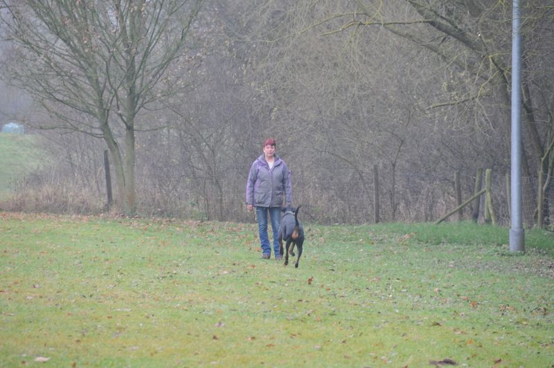 BH-Prüfung Herbst 2016
