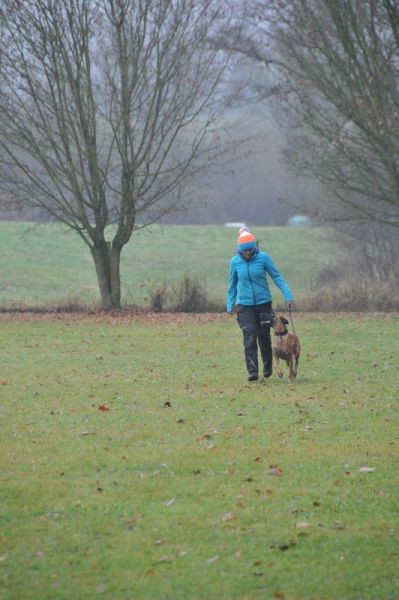 BH-Prüfung Herbst 2016