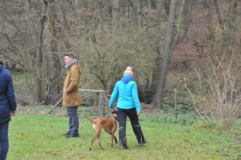 BH-Prüfung Herbst 2016