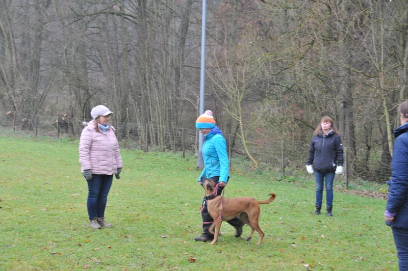 BH-Prüfung Herbst 2016