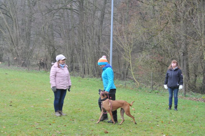 BH-Prüfung Herbst 2016