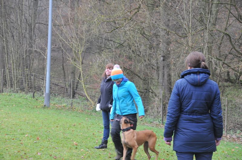 BH-Prüfung Herbst 2016