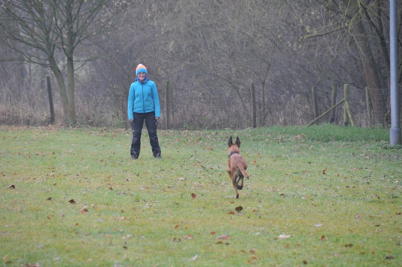 BH-Prüfung Herbst 2016