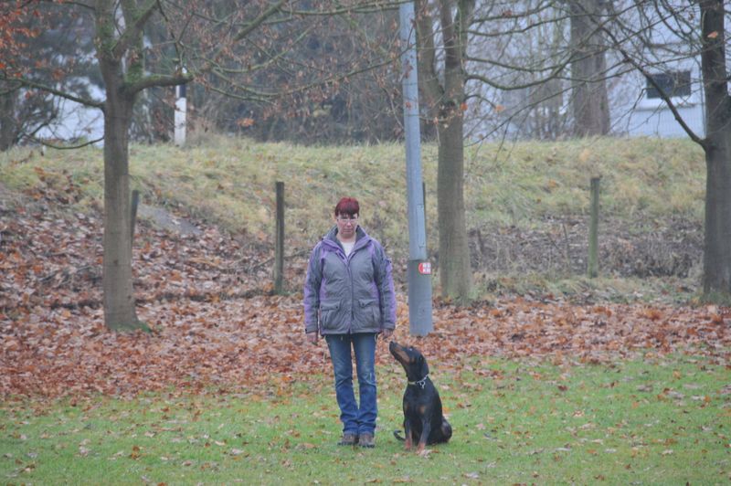 BH-Prüfung Herbst 2016