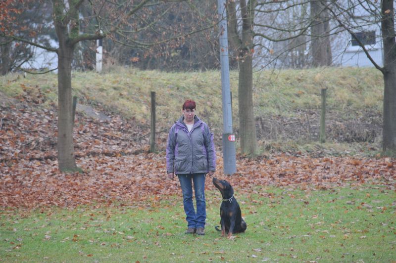 BH-Prüfung Herbst 2016