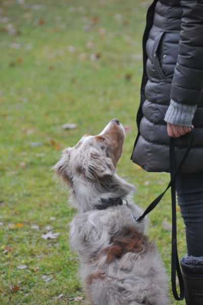 BH-Prüfung Herbst 2016