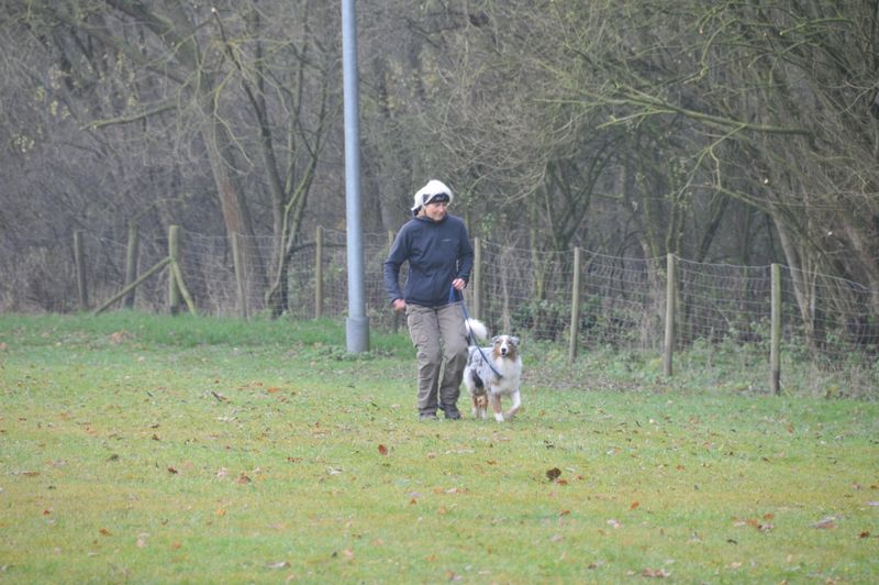 BH-Prüfung Herbst 2016