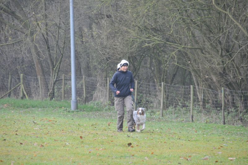 BH-Prüfung Herbst 2016