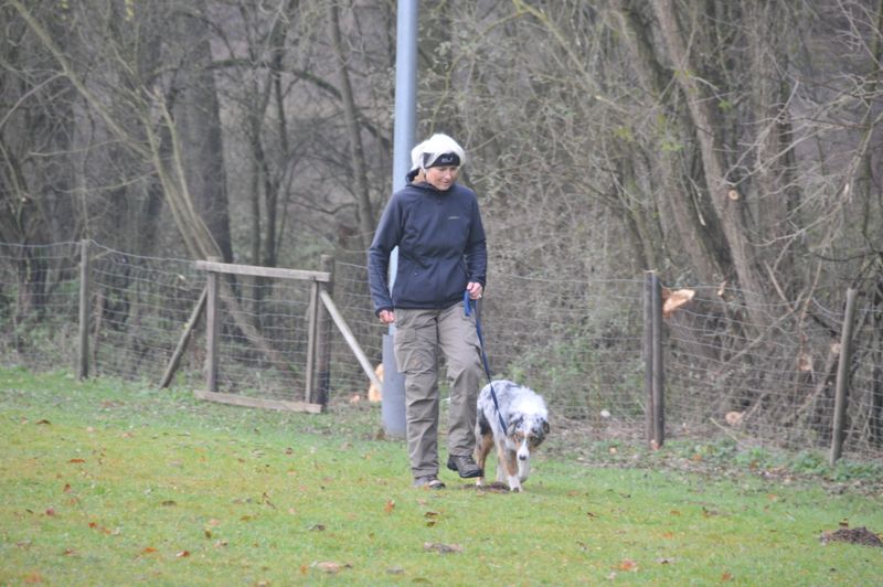BH-Prüfung Herbst 2016