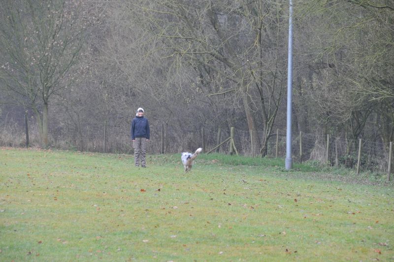 BH-Prüfung Herbst 2016