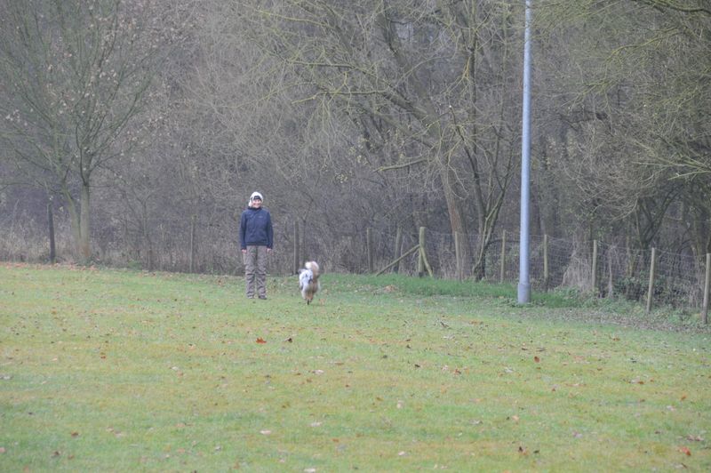 BH-Prüfung Herbst 2016