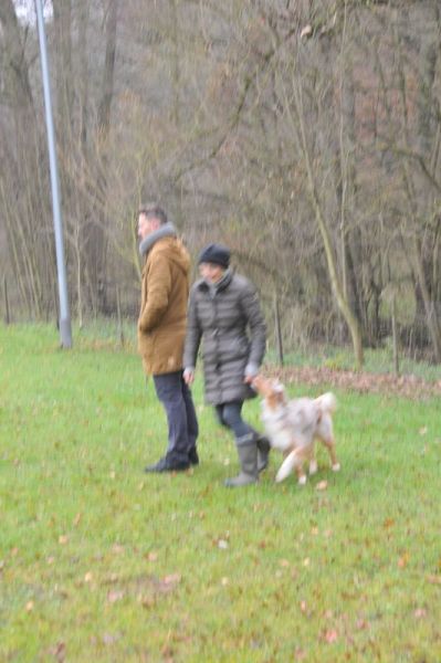 BH-Prüfung Herbst 2016