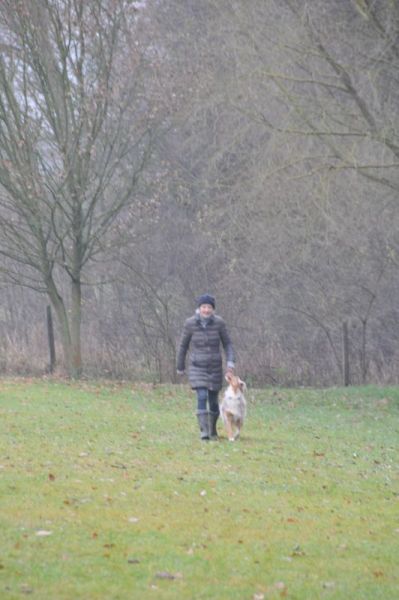 BH-Prüfung Herbst 2016