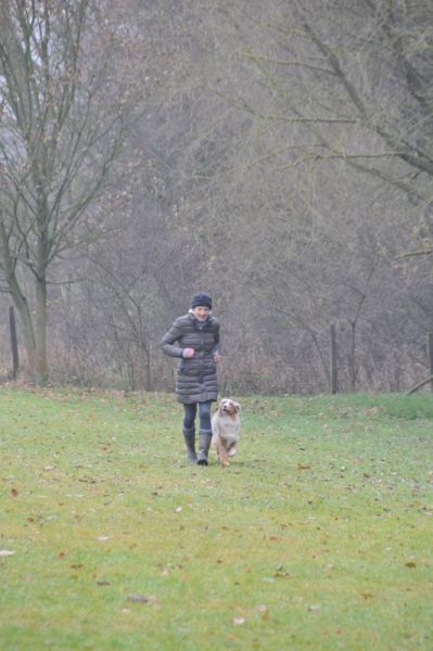 BH-Prüfung Herbst 2016