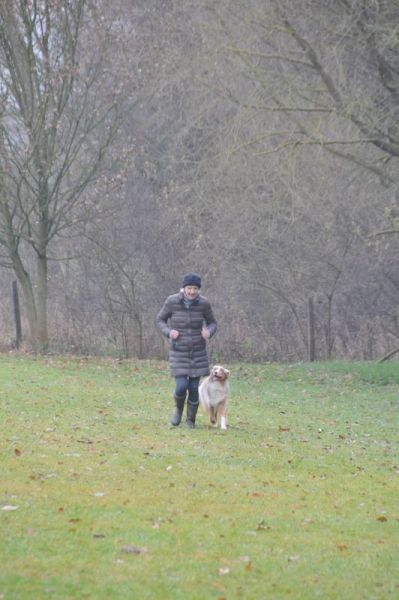 BH-Prüfung Herbst 2016