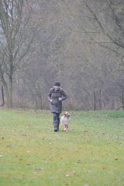 BH-Prüfung Herbst 2016